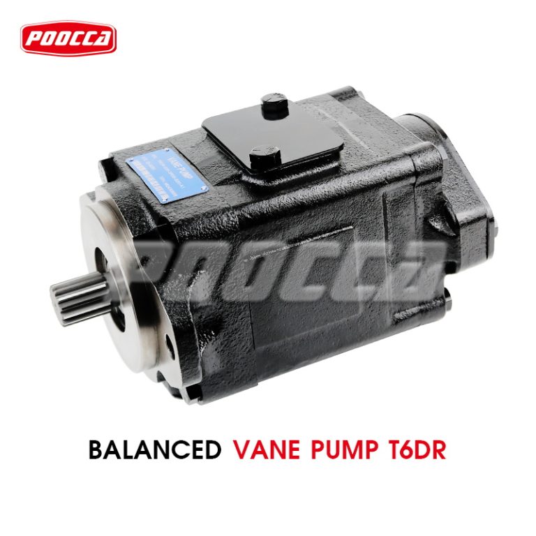 balanced-vane-pump-T6DR_1